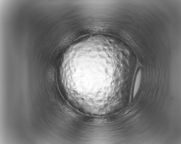 X0000055990458200509162256