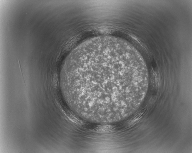 X0000055990459200509162256