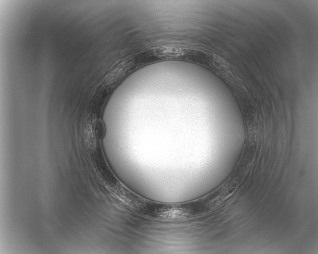 X0000055990460200509162256