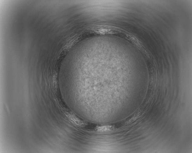 X0000055990461200509162256