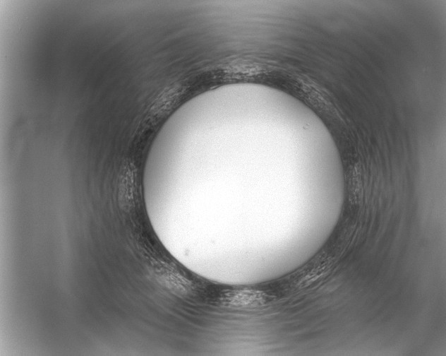 X0000055990463200509162256