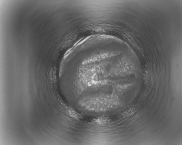 X0000055990466200509162256