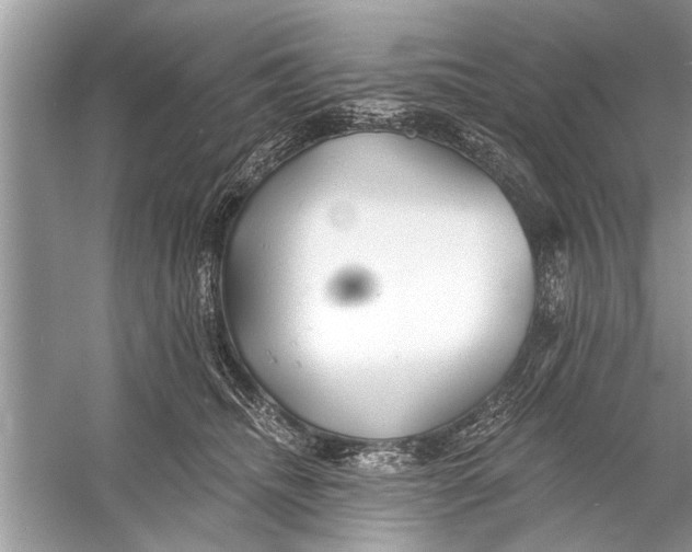 X0000055990468200509162256