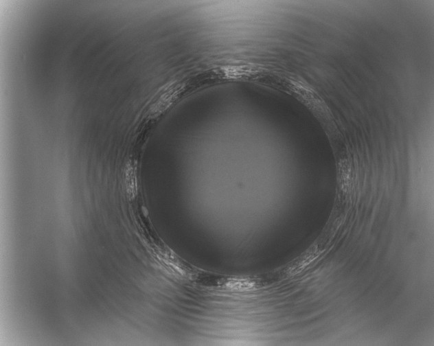 X0000055990471200509162256