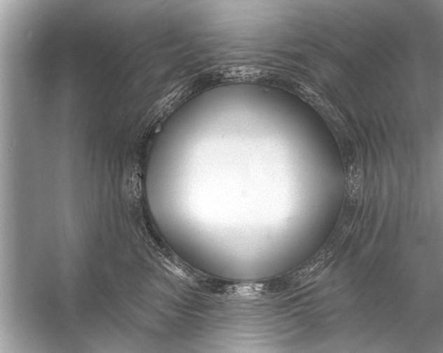 X0000055990474200509162256