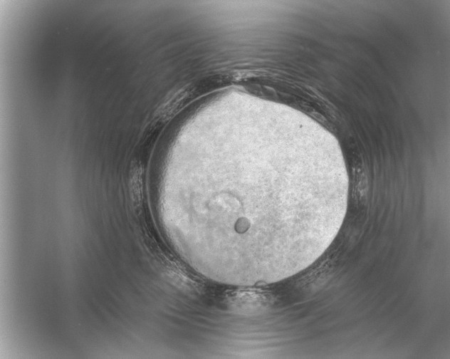 X0000055990475200509162256