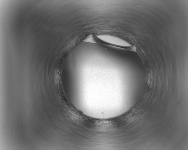 X0000055990476200509162256