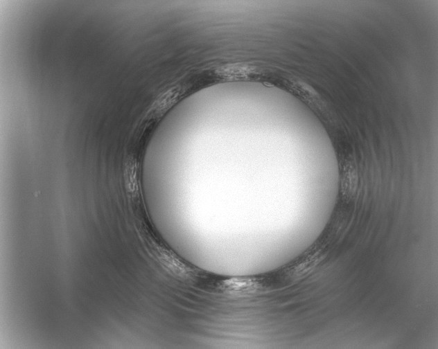 X0000055990477200509162256