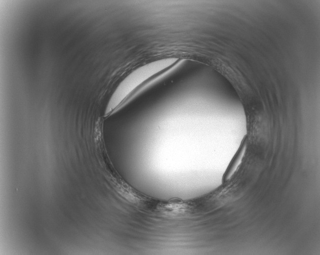 X0000055990478200509162256