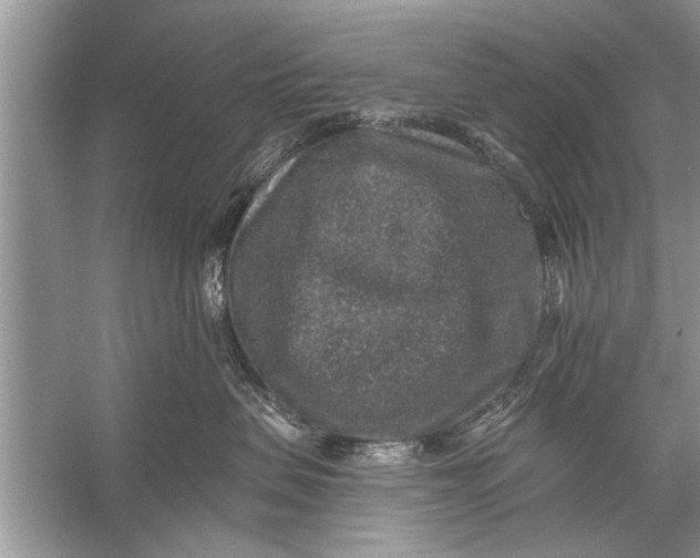 X0000055990479200509162256