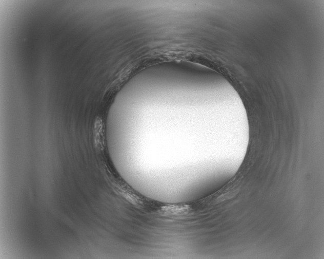 X0000055990480200509162256