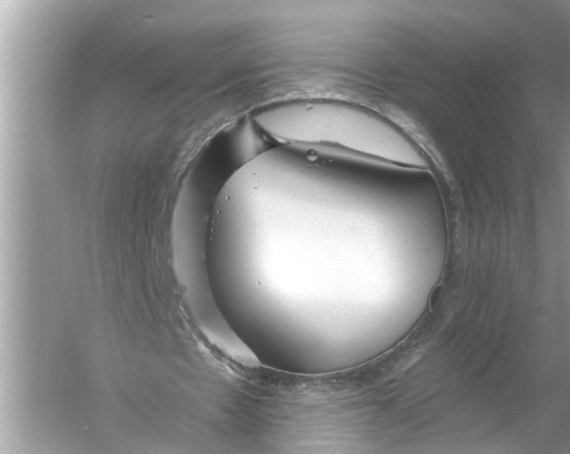 X0000055990481200509162255