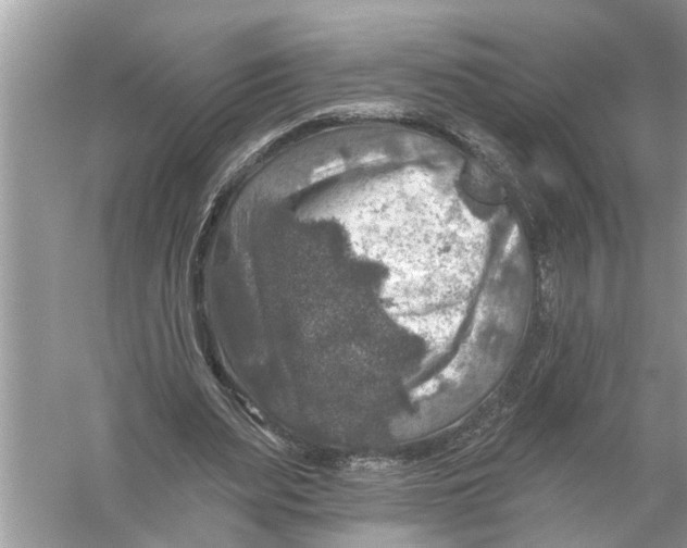 X0000055990487200509162255