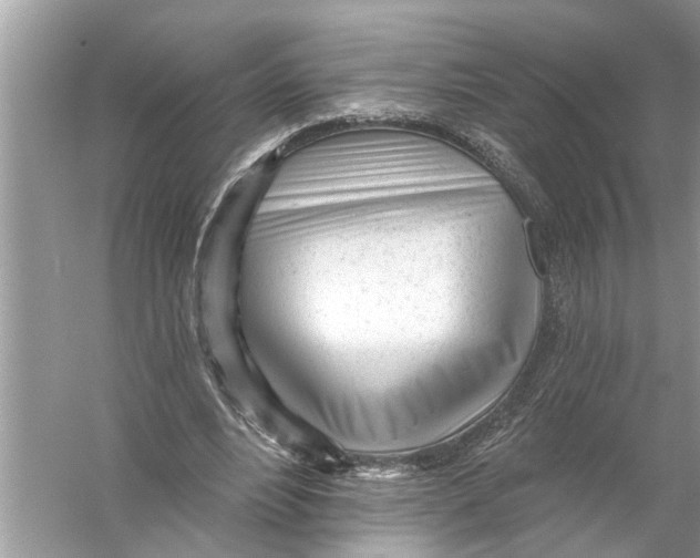 X0000055990488200509162255