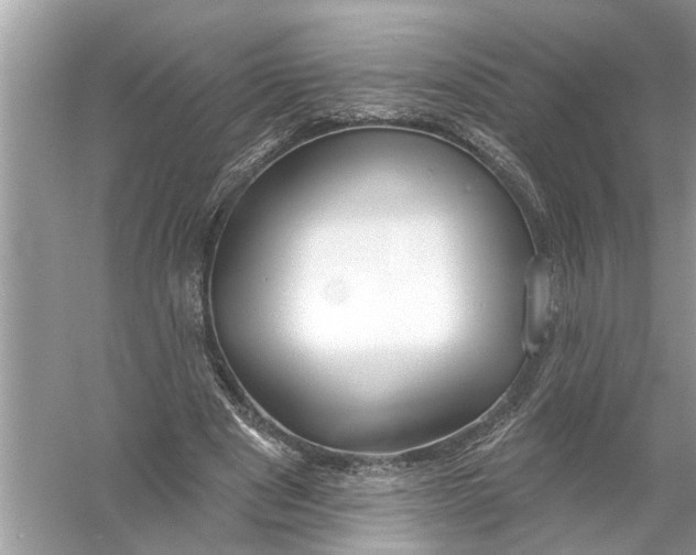 X0000055990489200509162255