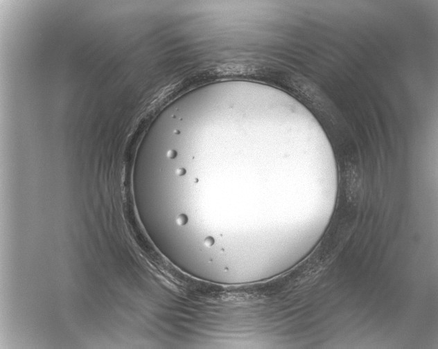 X0000055990490200509162255