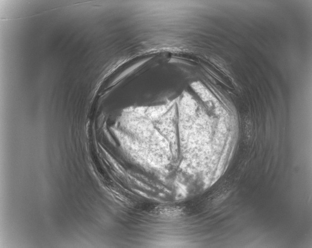 X0000055990491200509162255