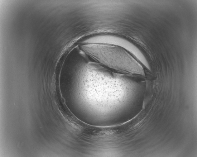 X0000055990492200509162255