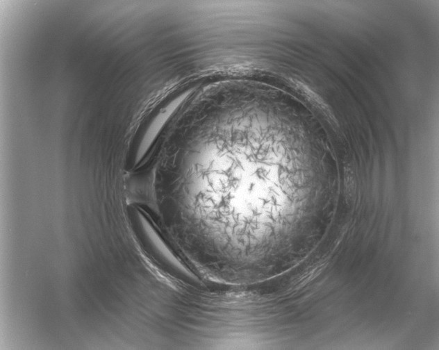 X0000055990493200509162255