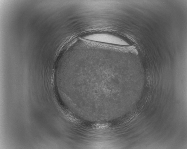 X0000055990495200509162255