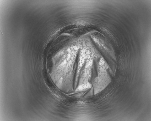 X0000055990496200509162255