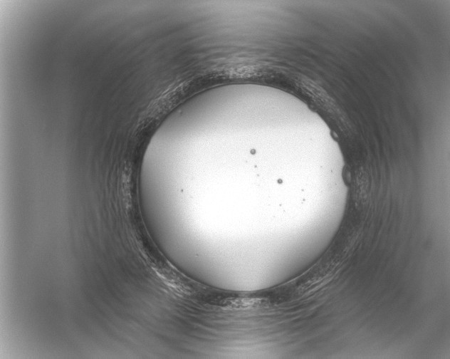 X0000055990497200509162255