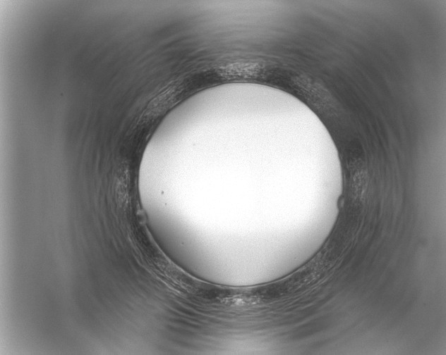 X0000055990498200509162255