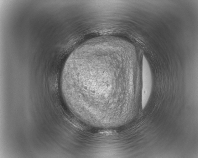 X0000055990499200509162255