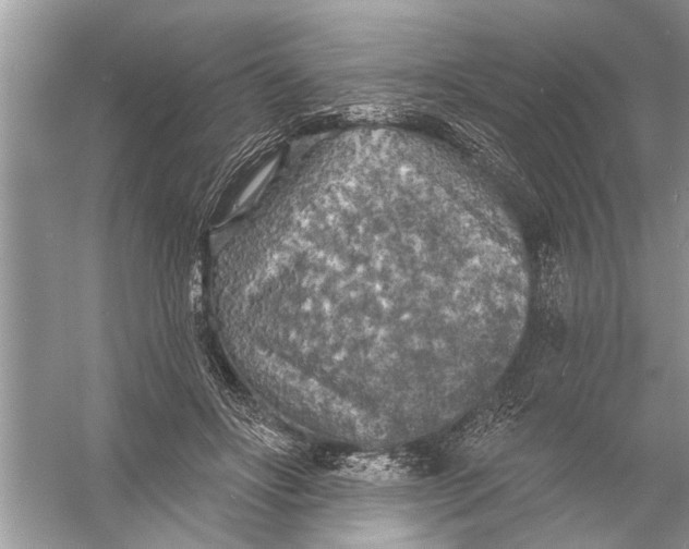 X0000055990502200509162255