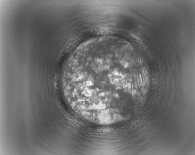 X0000055990503200509162255