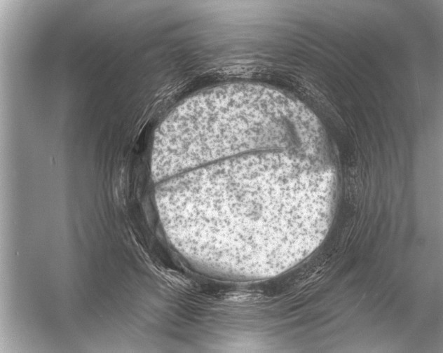 X0000055990504200509162255