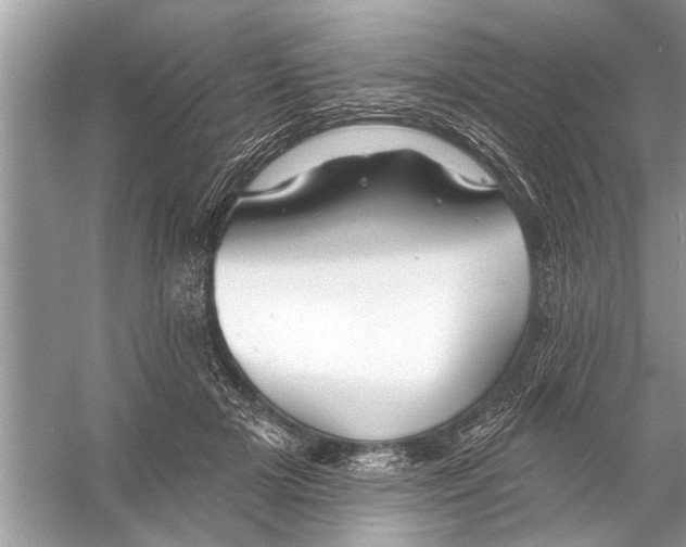 X0000055990505200509162255