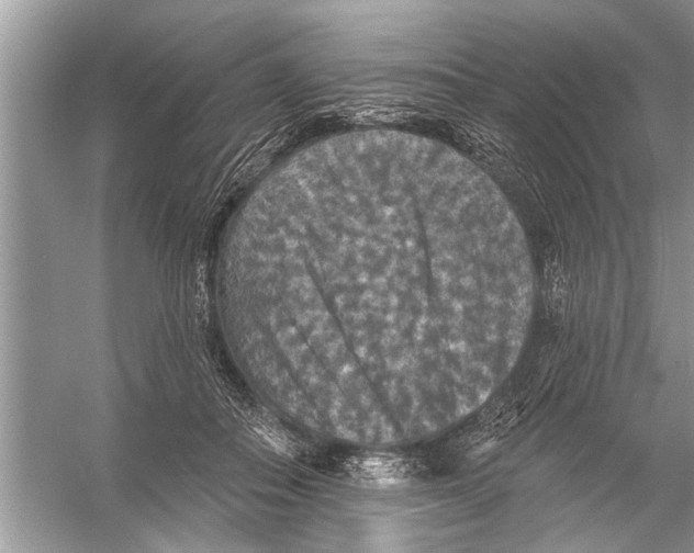 X0000055990506200509162255