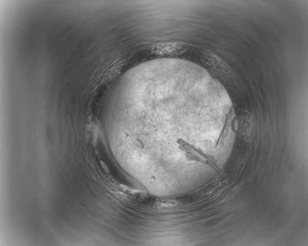 X0000055990510200509162255