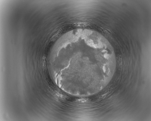 X0000055990511200509162255