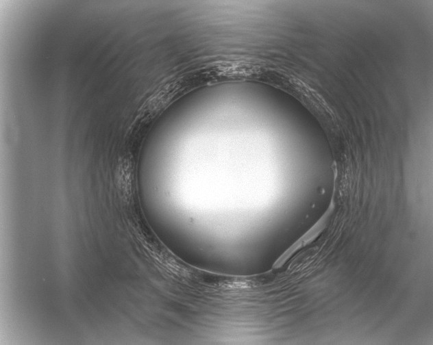 X0000055990513200509162255