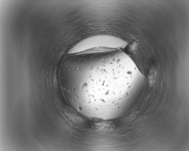 X0000055990516200509162255