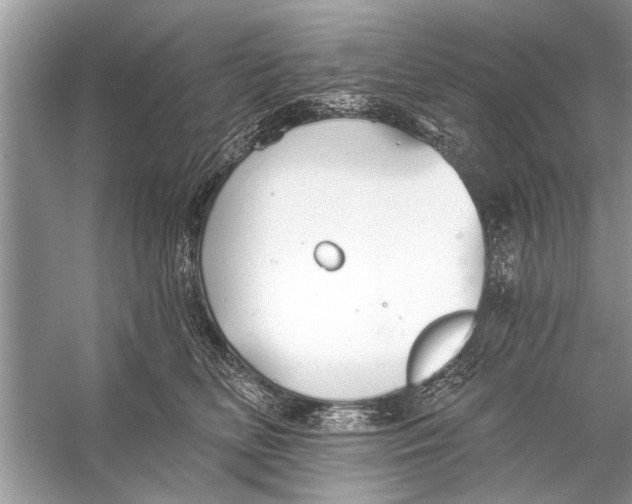 X0000055990518200509162255