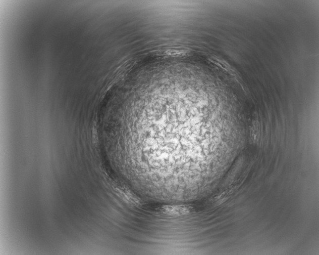 X0000055990520200509162255