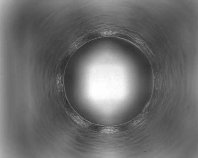 X0000055990521200509162255