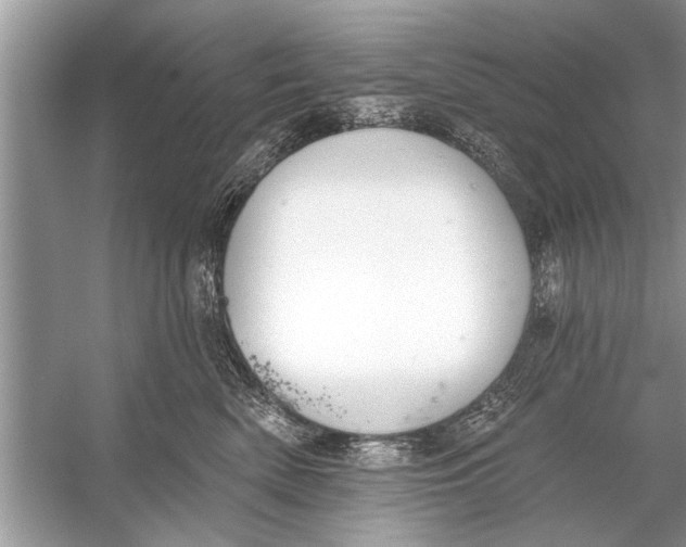 X0000055990522200509162255