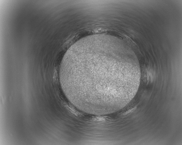 X0000055990523200509162255