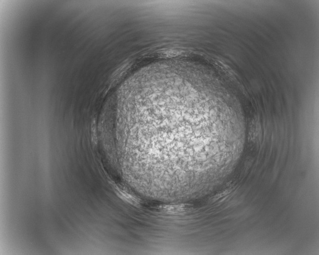 X0000055990524200509162255