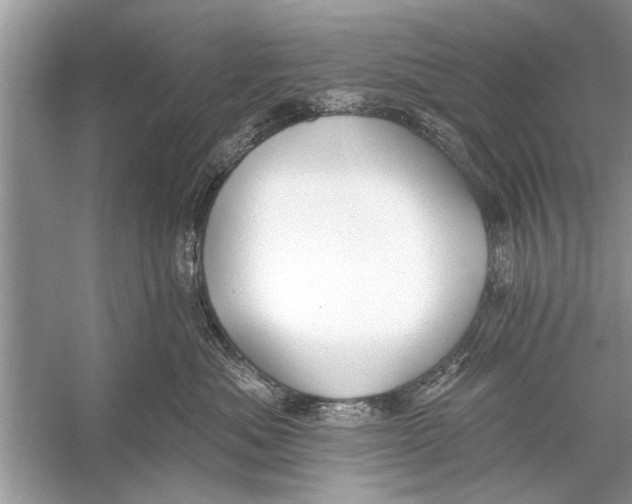 X0000055990525200509162255