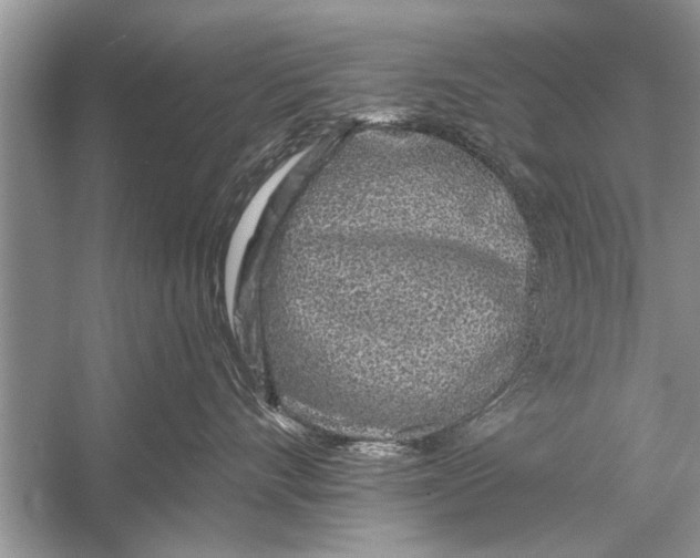 X0000055990528200509162255