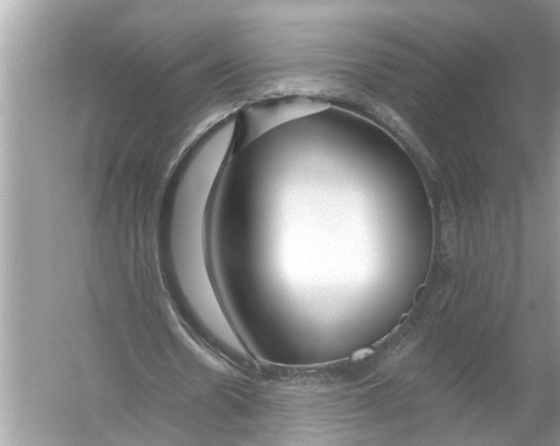 X0000055990530200509162254