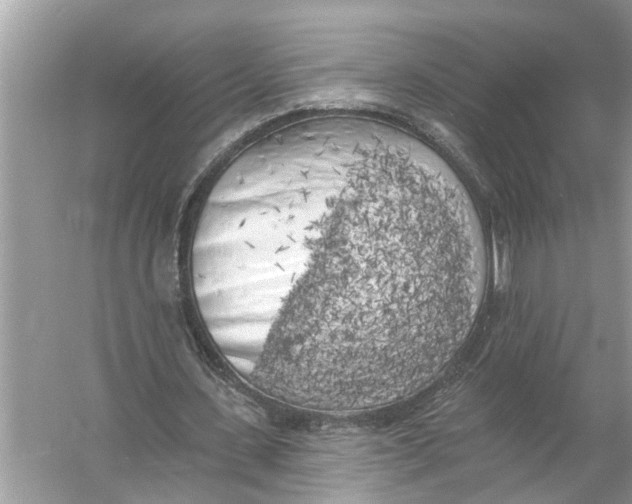 X0000055990531200509162254