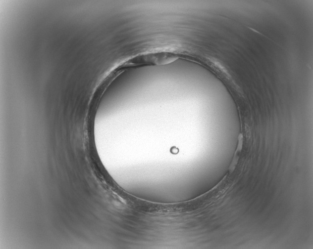 X0000055990532200509162254