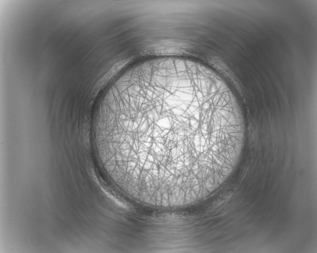 X0000055990533200509162254