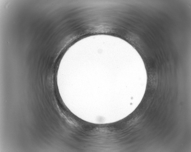 X0000055990534200509162254